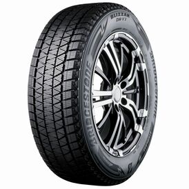 Bridgestone_DM_V3.jpg